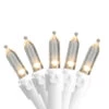 Northlight 50-Count Warm White LED Mini Christmas Lights, 16.25ft White Wire -Christmas Decorations Shop 3mn626rexomfqai3h3c0bfyajol4bnbi 63507.1664032988