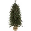 Northlight 3' Green And Brown Medium Warsaw Twig Artificial Christmas Tree - Unlit 1 Northlight 3' Green And Brown Medium Warsaw Twig Artificial Christmas Tree - Unlit -Christmas Decorations Shop northlight b03916 1new 16053.1669797776