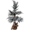 Northlight Heavily Flocked Pine Christmas Tree In Natural Jute Base - 27.5" -Christmas Decorations Shop northlight hn92700 1 pre20list 66552.1636200438