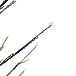 Northlight 5' Black LED Lighted Christmas Twig Tree - Warm White Lights 11 Northlight 5' Black LED Lighted Christmas Twig Tree - Warm White Lights -Christmas Decorations Shop northlight xt92215 4 59877.1645837543